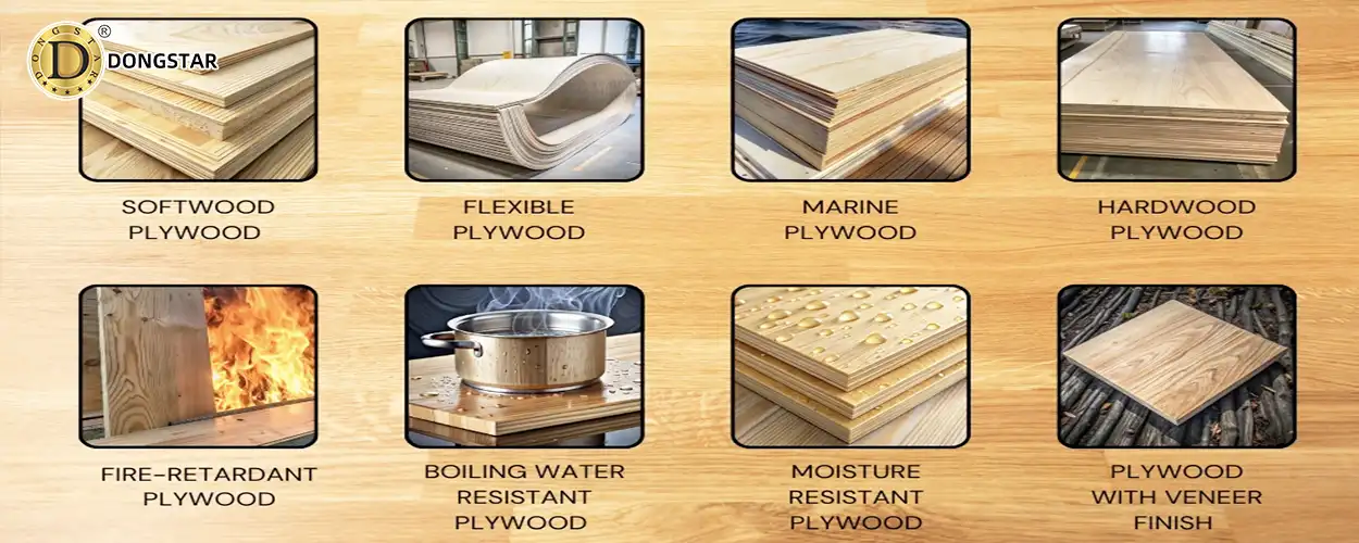 What are the classifications of plywood