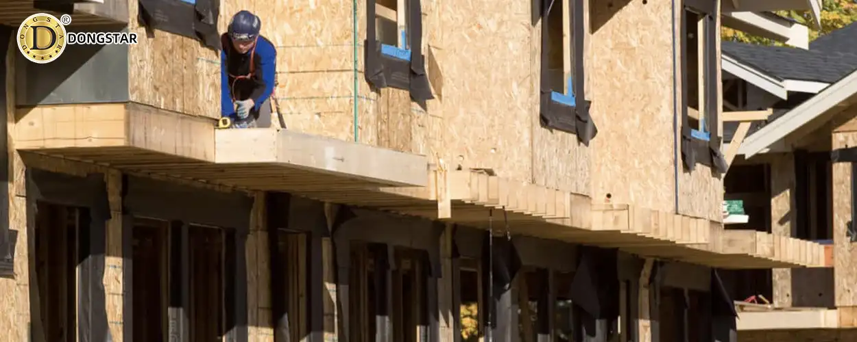 Long-Form Article-Understanding Oriented Strand Board (OSB)