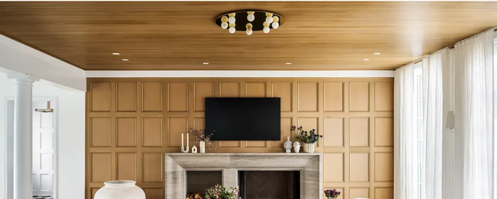 Plywood Ceiling Ideas Modern & Rustic Inspirations