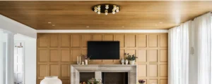 Plywood Ceiling Ideas Modern & Rustic Inspirations