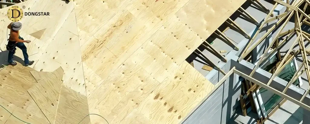 What is CDX Plywood?