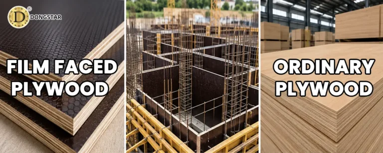 Film Faced Plywood vs Ordinary Plywood