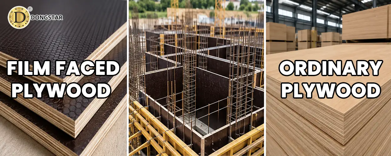 Film Faced Plywood vs Ordinary Plywood